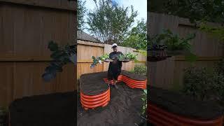 Raised Garden Bed Upgrade (Set Up to Harvest)