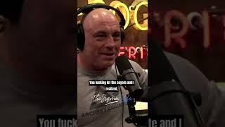 Coyote Tricked Dog into Attacking Chickens - Joe Rogan