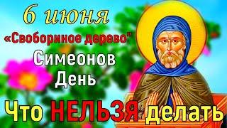 6 июня народный праздник Симеонов День. Что МОЖНО и что НЕЛЬЗЯ делать. Традиции и приметы