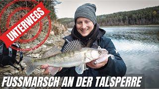 ZANDER Vlog | Talsperre vom Ufer