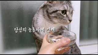 우리집 완쟈님