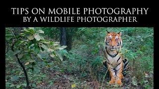 Tips on Mobile Photography by a professional wildlife photographer