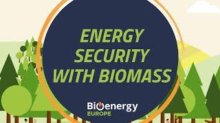 Energy Security - Bioenergy Explained