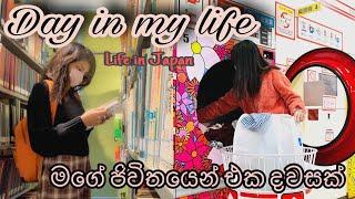 Life in Japan | මගේ ජිවිතයෙන් තවත් එක දවසක් | Day in My Life | Grocery Shopping | Study | SHEIN Haul