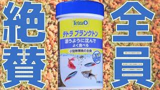 【餌】どこでも売っている安いフードなのに皆、絶賛する理由が分かりました。スペクトラムブランズジャパン テトラプランクトン【ふぶきテトラ】