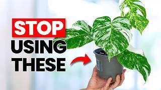 Change This One Thing And Your Plants Will THRIVE