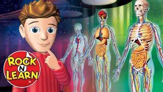 Human Body - Science for Kids - Rock 'N Learn