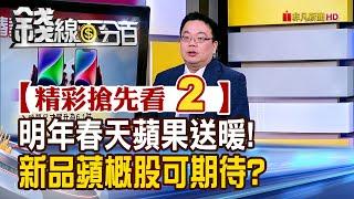 精彩搶先看2【錢線百分百】20241226《終於輪到蘋概股? 明年春天新品四連發!》│非凡財經新聞│