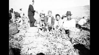 Japanese American National Museum: Jim Tanaka - Sugar Beet Machete