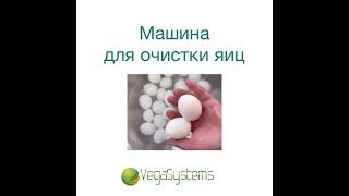 Очистка яиц