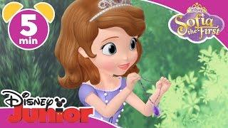 Magical Moments | Sofia the First: Amber's Fancy Dress  | Disney Junior UK