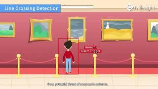 Milesight AI Video Analytics（VCA）