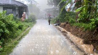 Walking in the rain of Great Thunder in the village The water is cloudy & Yellow|99% Banish Insomnia