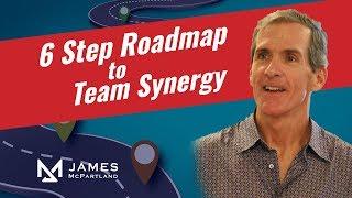 6 Step Roadmap to Team Synergy by James McPartland