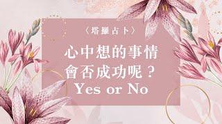 琟櫻塔羅占卜心中想的事情，會否成功呢？【Yes or No】#感情 #工作 #人生方向｜#琟櫻BetterMe