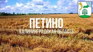 4K. Петино. Полесский район. Калининградская область.