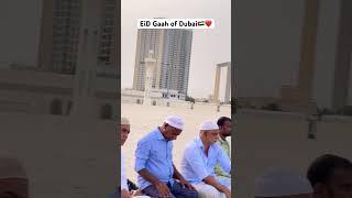 Khutba of Eid-Ul-Azha at Dubai Eid Gaah #khutbah #eid #dubai #sheikh #eidgaah #youtubeshorts #trend