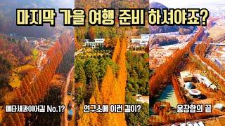 11월 국내여행 추천 놓칠 수 없는 마지막 가을 여행 명소 추천 BEST  #국내여행 #여행추천