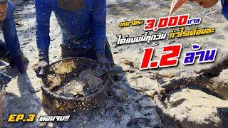 เหมาสระ 3,000 บาท วันที่ 3 ติดอันดับสระปลาเยอะสุดในตำบล หมานๆ 14 มกราคม 2565 Ep.21