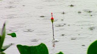 Fishing for Giant Tilapia on the Gia River on a Stormy Day