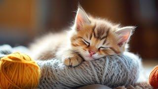 Calming Music for Anxious Cats - Cat Music for Deep Relaxation and Sleep, Music For Cats