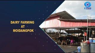 Agriculture Programme | Dairy Farming at Moidanpok