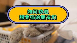 如何劝退想养猫的朋友们：养猫并非想象中那么简单