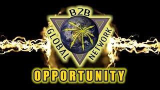 B2B Global Network, Inc. / Opportunity Video