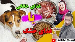 غذای سگ _ غذای خشک برای سگ بهتره یا غذای خانگی؟؟