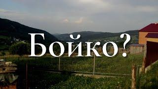 Where does "Бойко/Boiko" come from?