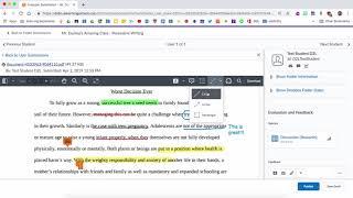 Annotation Tool in D2L