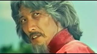 Mantis Fists and Tiger Claws of Shaolin(1977)-"No longer comic relief"