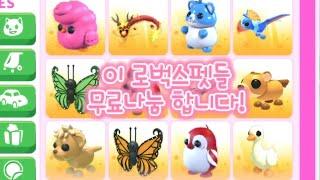 입양하세요 펫 이벤트  로벅스펫#입양하세요 #입양하세요업데이트 #입양하세요이벤트