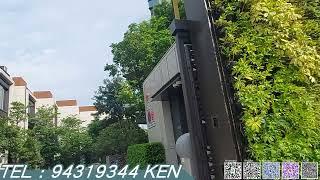 九肚山 雲端 查詢請電 94319344 Ken