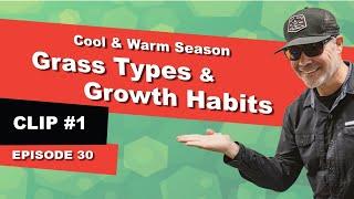 Grass Types & Growth Habits | Cool Season & Warm Season Grasses