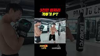 3천만 원짜리 격투기 PT