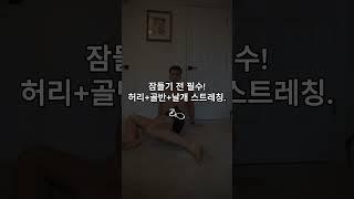 허리+골반+날개뼈 필수 스트레칭!