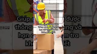 Chương trình nhập khẩu VQIP -  Những điều bạn chưa biết