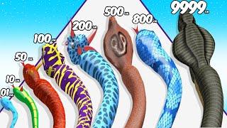 Snake Evolution Run 3D - Level Up Snake Max Level ASMR Gameplay