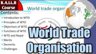 World Trade Organisation (WTO)