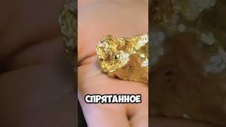 Золотые Нити Антарктиды #shorts #факты