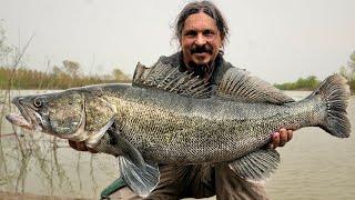 Spinning for ZANDER on a FLOODED River