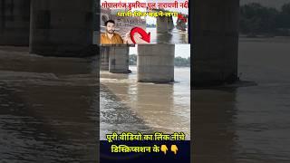 Flood in Bihar: Dumariya Ghat में मंडराया फिर से बाढ़ का खतरा, Narayani river #live