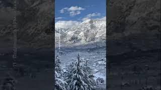 Winter morning at Naggar, Manali