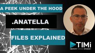 Deep dive under the hood: Understand the Anatella file format.