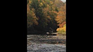 Exploring Catskill Fly Fishing