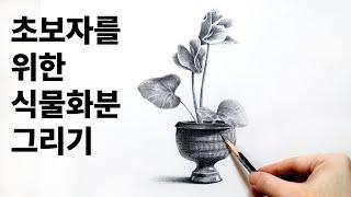 Pencil Drawing Plant Flower pot / Basic drawing, pencil drawing