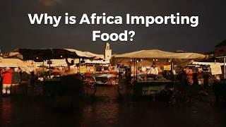 Why is Africa Importing So Much Food?