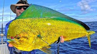 Mahi Madness! The ocean was ALIVE with fish!! (Catch & clean)