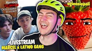  WIELKI LIVE ŁATWOGANG i MARCELA a OGIEŃ SIĘ PALI XD - ZAGUBIONY W INTERNECIE #220